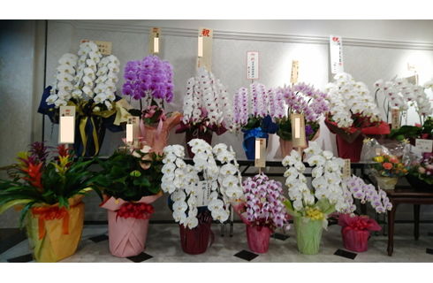 誰にも聞けない ラウンジの開店祝いの花の贈り方 相場など