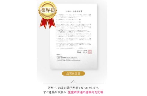 胡蝶蘭